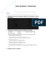 Prueba Final de Ciencia y Tecnologia