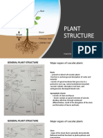 Plant Structure