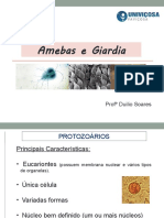 Aula 3 - Introdução Protozoários. Amebas e Giardia