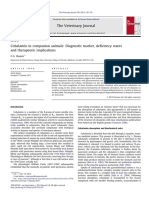 Cobalamin in Companion Animals