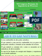 Curso Cadena Valor Gas Natural