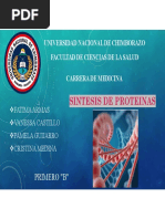 Diapositivas Fisiología - SINTESIS DE PROTEINAS