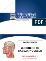 MUSCULOS DE LA CABEZA y CUELLO PDF