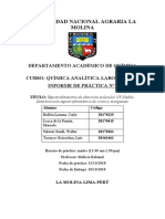 Informe 10 ANALITICA