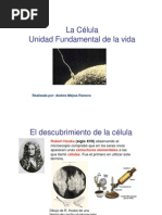 Celula 3 PDF