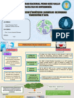 Principios Eticos y Bioeticos y Normas PDF