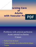 Nursing Care of Adults With Vascular Problems