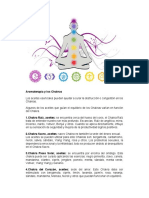 Escencias de Los Chakras PDF