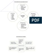 Mapa Conceptual de La Salud Publica en El Pais