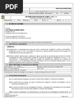 Informe Investigador de Campo FPJ-11