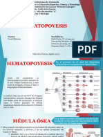 3 Fisio Bello Petterson Requena Hernandez