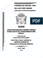 Tesis PDF