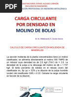 Ejercicio de Carga Circulante 2020