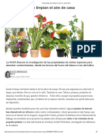 Diez Plantas Que Limpian El Aire de Casa - Ideal