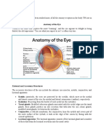 Visual System