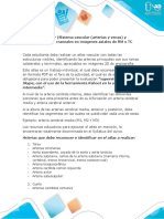 Atlas de Sistema Vascular y Pares Craneales - Tarea 1