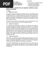 RESUMEN GRUPO 14 - Raza, Manejo y Examen Fisico de Pequeños Animales (Cuyes, Hámsters y Hurones) .PDF Versión 1