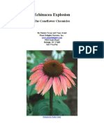 Echinacea - Purple Coneflowers and Much More