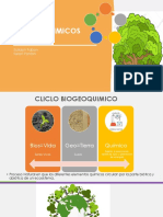 Ciclos Biogeoquimicos PDF