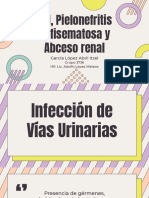 IVU, Pielonefritis y Abceso