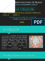 La Celulosa Ova 2