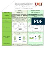 Cuadro Comparativo Teoría Homóloga y de Interpolación Sobre La Evolución de Las Plantas Continentales