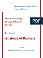 Microbiology 2