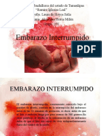 Embarazo Interrumpido