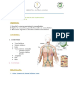 Guía Linfático PDF