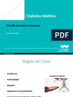 23A. Diabetes Mellitus