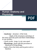 Introduction in Human Anatomy and Physiology