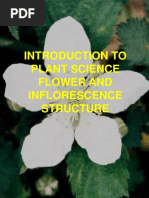 Introduction To Plant Science Flower and Inflorescence Structure