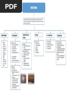 Mapa Micetoma