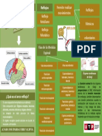 Mapa Mental Semana 10