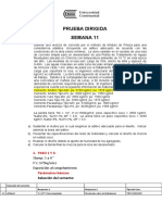 Prueba Dirigida - SEMANA 11