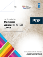 Perfil Productivo Municipio de San Martin de Los Llanos