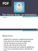 The Human Body: An Orientation