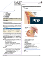 RADIOLOGY 1.6 Introduction To Mammography