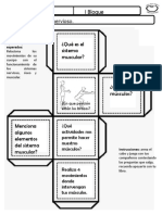 Tema 2 Sistema Muscular