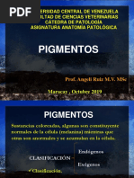 Pigmentos Exógenos 2019