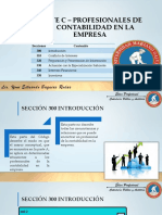 9 Parte C - Profesionales de La Contabilidad en La Empresa PDF