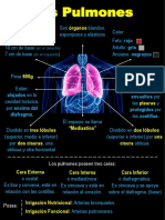 Fisiología Pulmonar