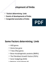 Development of Limbs