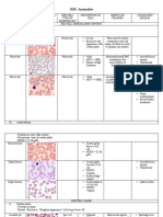 RBC Anomalies