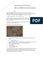 Acute Kidney Injury NCLEX Review