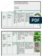 Cuadro de Resumen de Plagas de Granos Andinos y Leguminosas