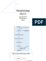 Pathophysiology of PCOS