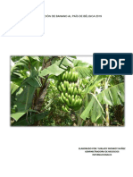 Exportación de Banano Organico PDF