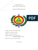 Legislacion Boliviana Sobre El Uso de Armas de Fuego