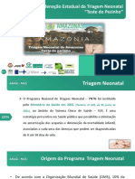 Programa Nacional Da Triagem Neonatal 2020 PDF